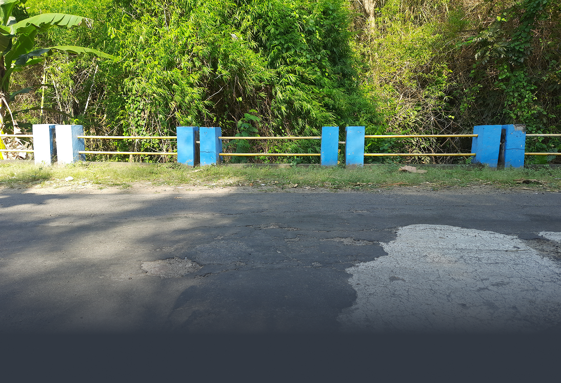 Roadside barrier with blue posts